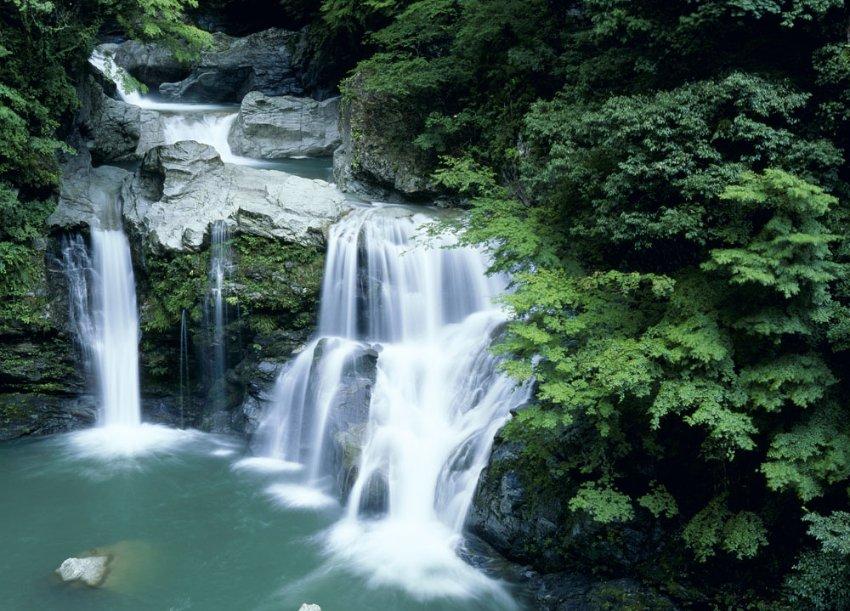 红树林逃生